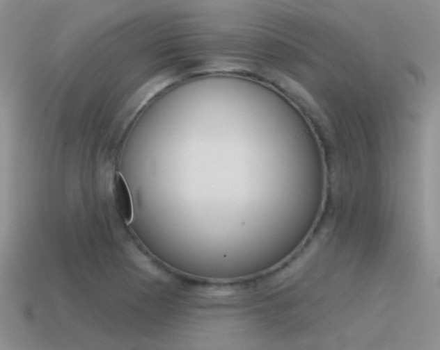 X0000115551177200911061121
