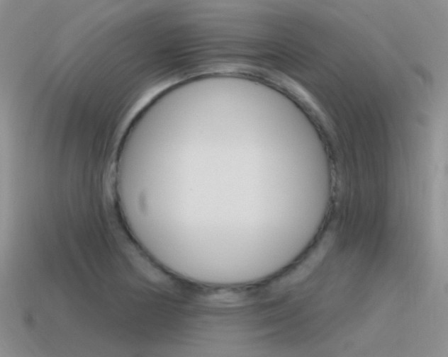 X0000115551178200911061121