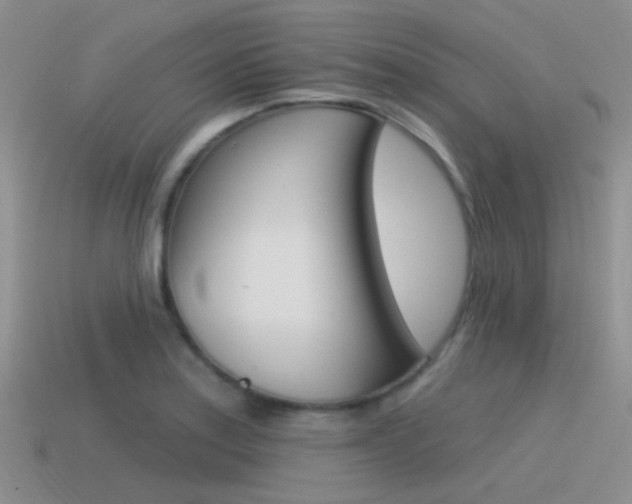 X0000115551179200911061121