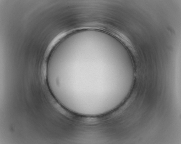 X0000115551180200911061121