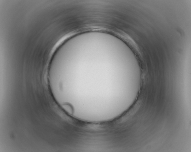 X0000115551182200911061121