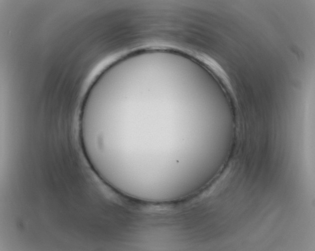 X0000115551183200911061121