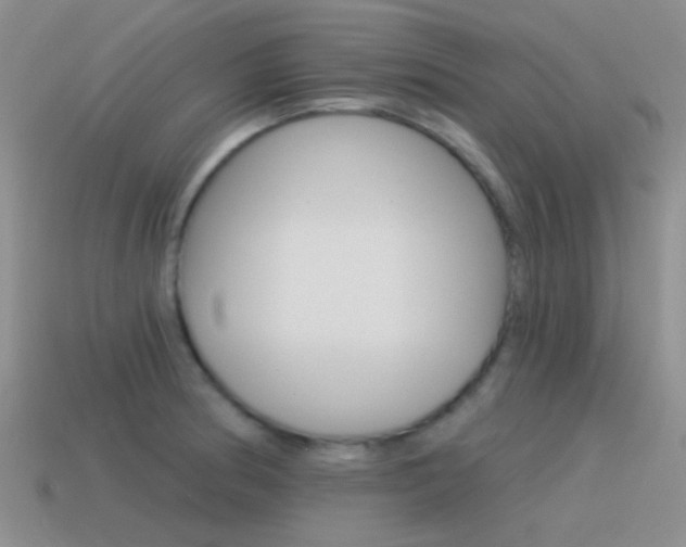 X0000115551186200911061121