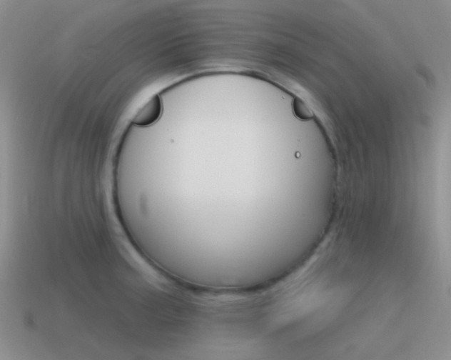 X0000115551187200911061121