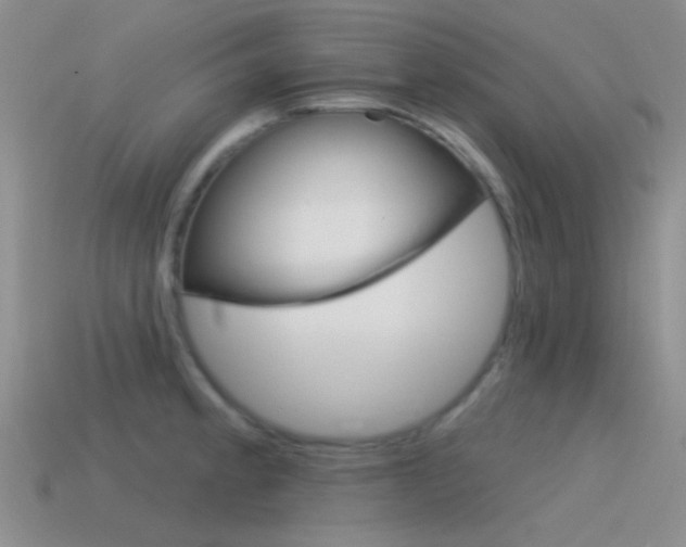 X0000115551189200911061121