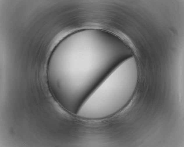 X0000115551192200911061121