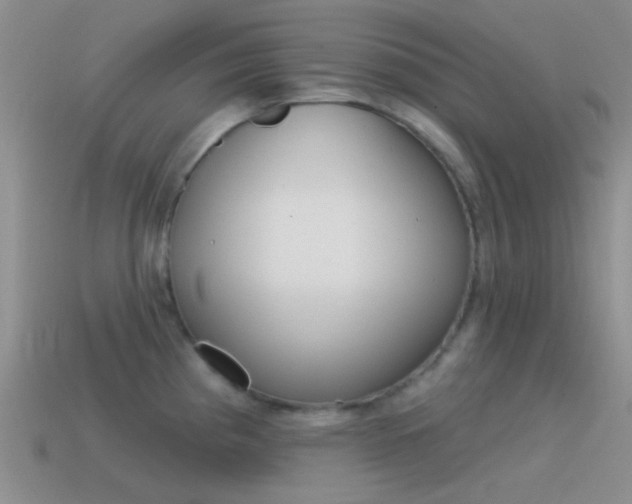 X0000115551193200911061121
