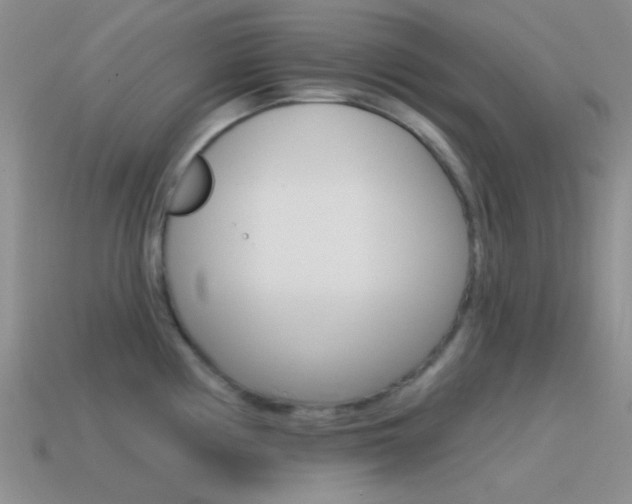 X0000115551194200911061121