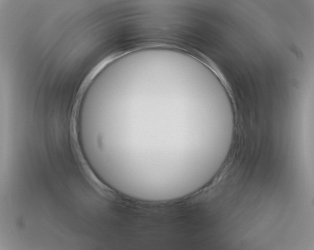 X0000115551195200911061121