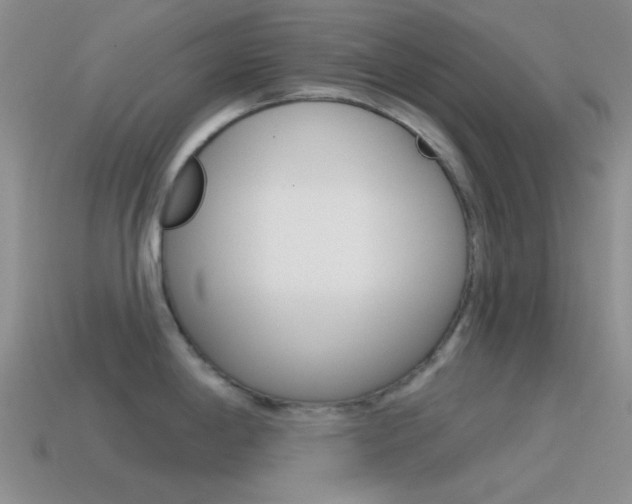 X0000115551198200911061121