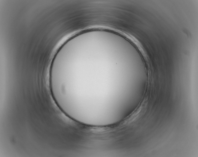 X0000115551199200911061121