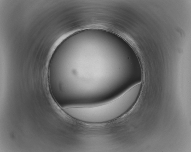 X0000115551200200911061121