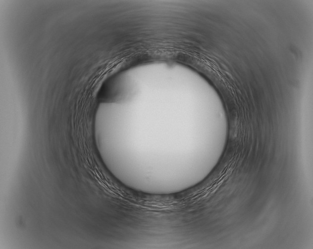 X0000115551201200911061120