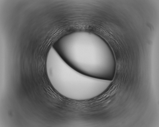 X0000115551202200911061120