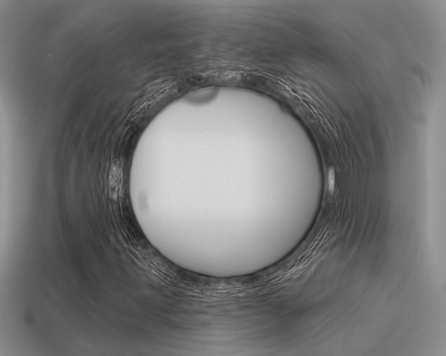 X0000115551203200911061120