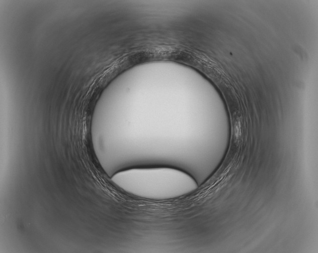 X0000115551204200911061120
