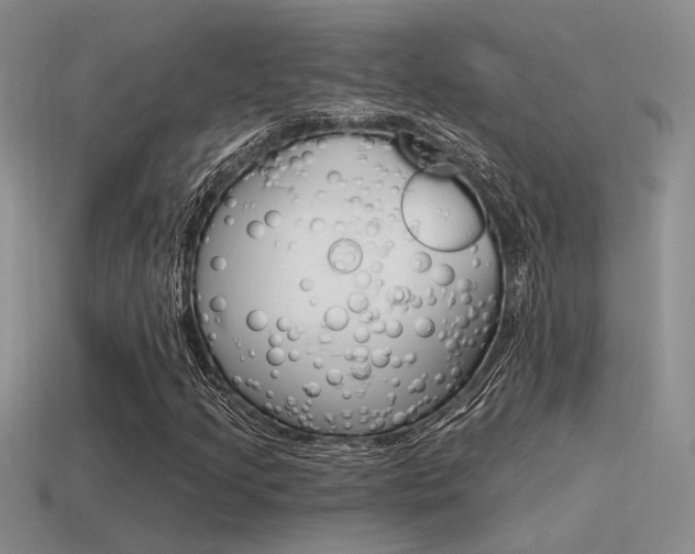 X0000115551205200911061120