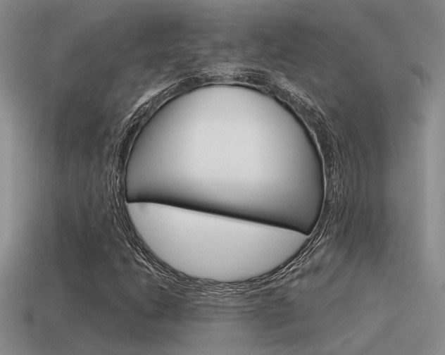 X0000115551206200911061120