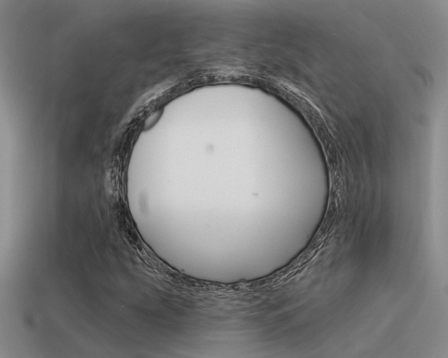X0000115551207200911061120