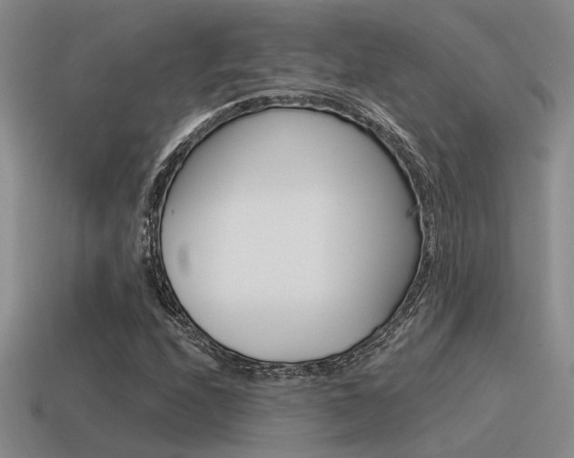 X0000115551208200911061120