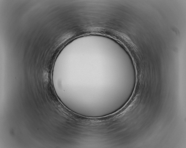 X0000115551209200911061120