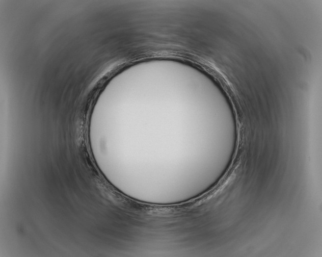 X0000115551211200911061120