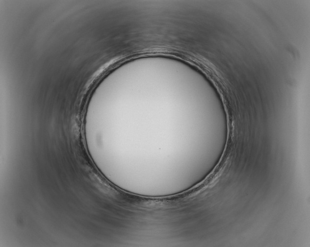 X0000115551212200911061120