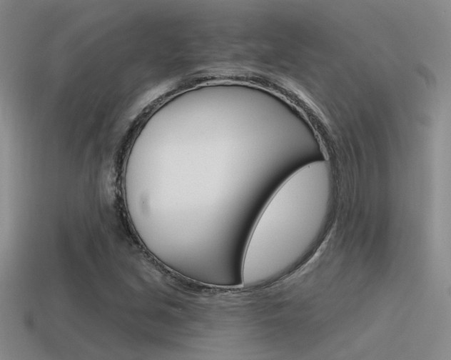 X0000115551213200911061120