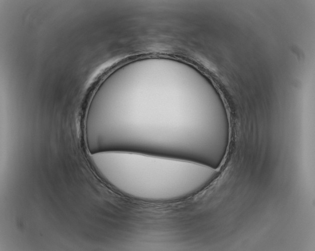 X0000115551214200911061120