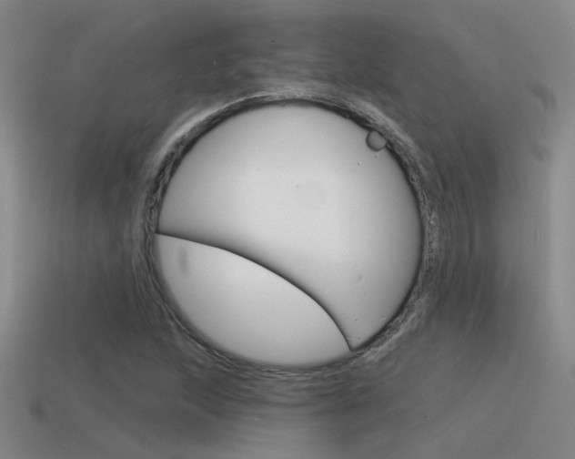 X0000115551215200911061120