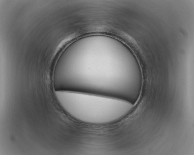 X0000115551218200911061120