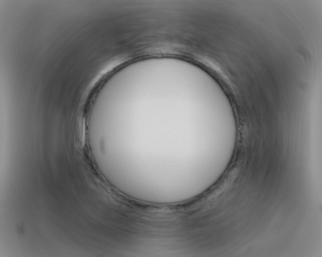 X0000115551219200911061120