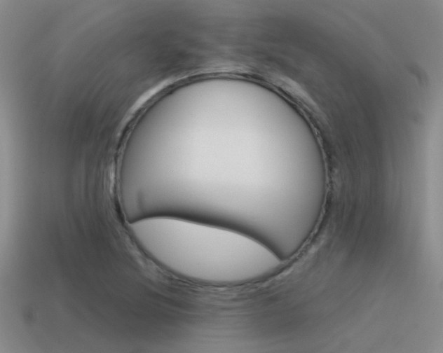X0000115551220200911061120