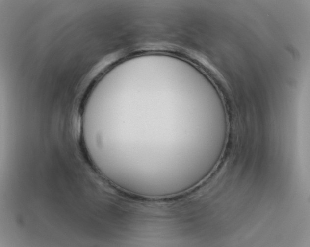 X0000115551221200911061120