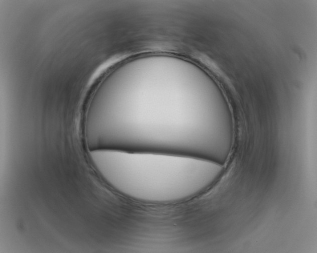X0000115551222200911061120