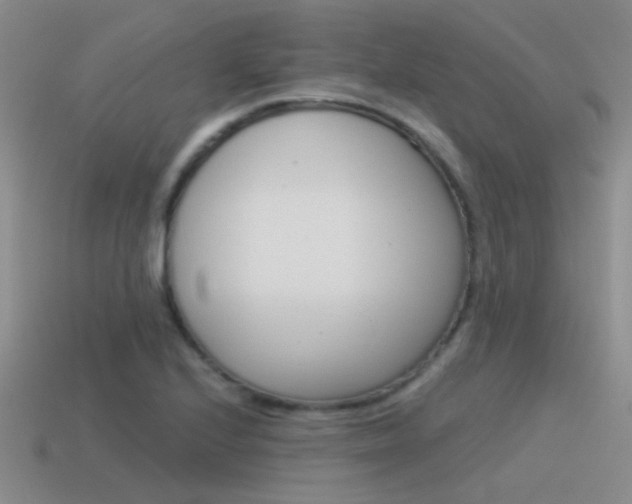 X0000115551224200911061120