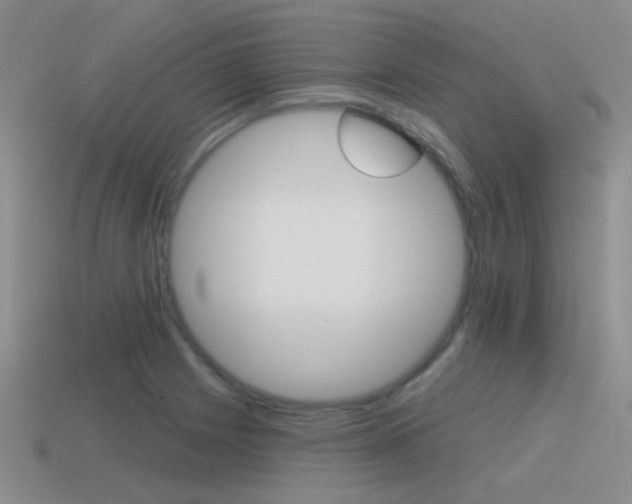 X0000115551225200911061120