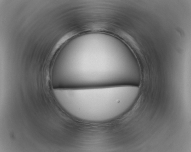 X0000115551226200911061120