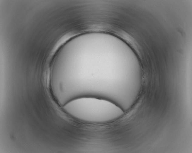 X0000115551227200911061120