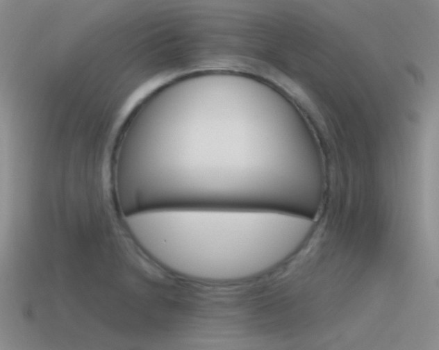 X0000115551230200911061120