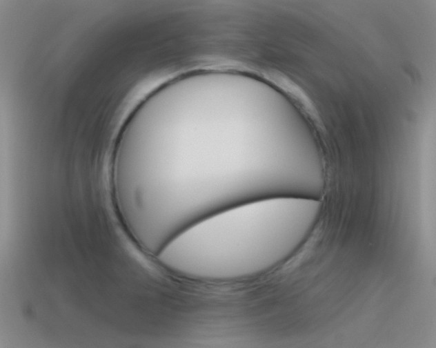 X0000115551231200911061120