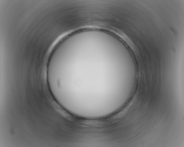 X0000115551232200911061120