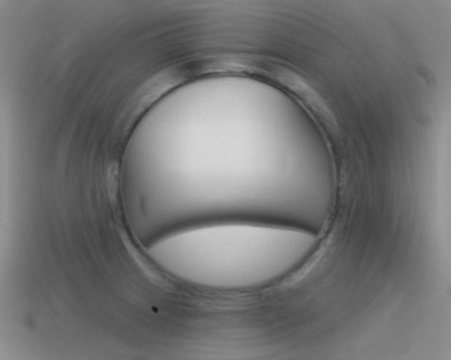 X0000115551233200911061120