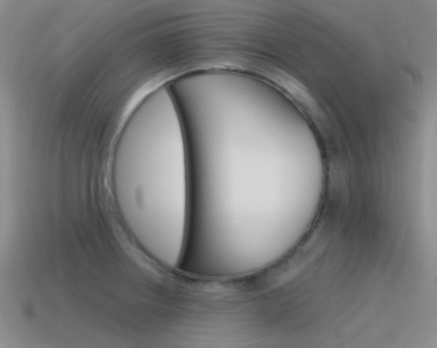 X0000115551234200911061120