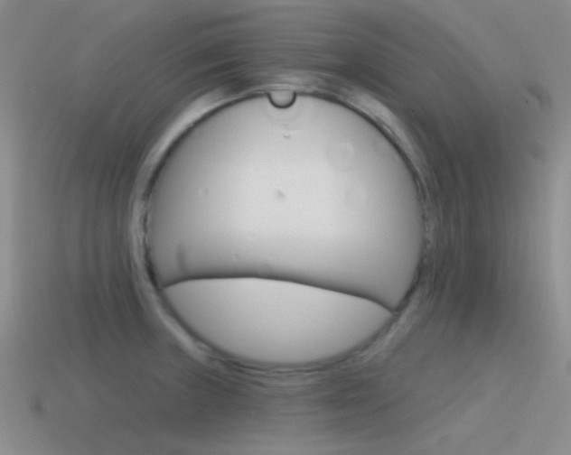 X0000115551235200911061120