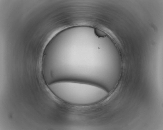 X0000115551236200911061120