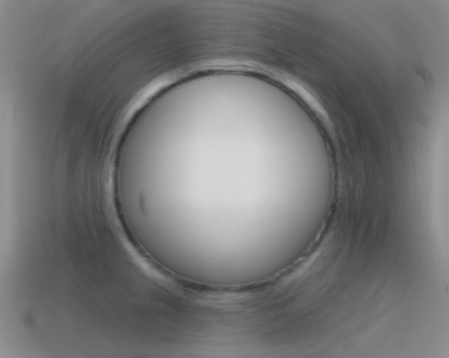 X0000115551237200911061120