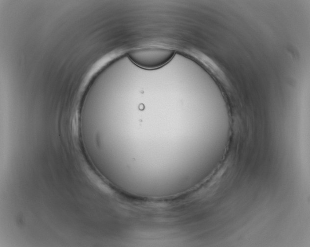 X0000115551238200911061120