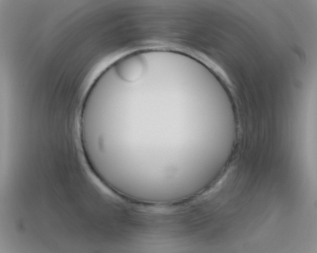X0000115551239200911061120