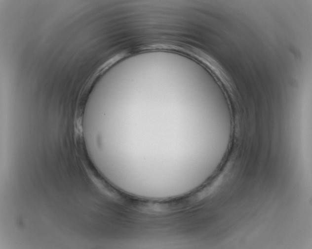 X0000115551241200911061120
